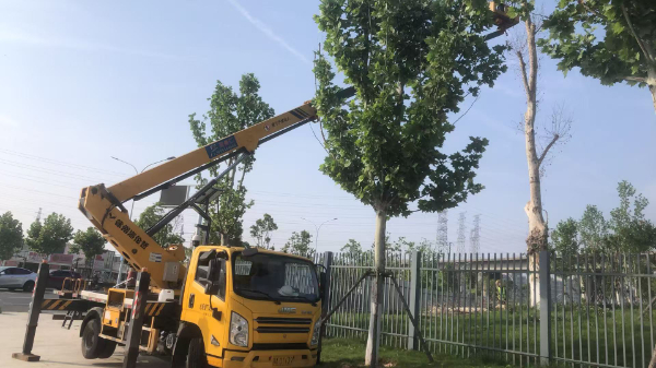 18米直臂升降車(chē)景區(qū)修剪樹(shù)枝施工現(xiàn)場(chǎng)