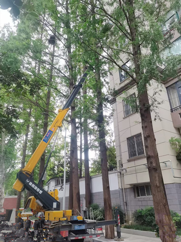 22米登高車(chē)園林修剪樹(shù)枝施工現(xiàn)場(chǎng)